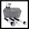 CAIRSKIN Professional Makeup 25 Brushes Set Limited Edition Set including Large Silver Beauty Bag