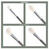 CAIRSKIN Sage Green Full Set 13 Professional Face & Eyes Set