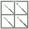 CAIRSKIN Sage Green 5 Brushes The Basics Naturals Set