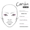 CAIRSKIN CS118 - Pointed Smokey Eye Smudge Kwast