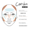 CAIRSKIN CS138 - Round Powder Blush Brush