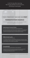 Fermentation Essence 100ml